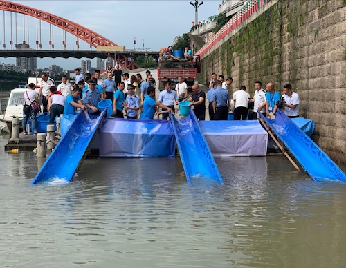 放流活动现场.jpg